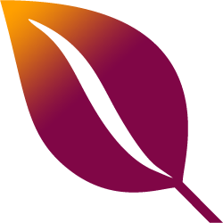 Débosselage sans peinture économique